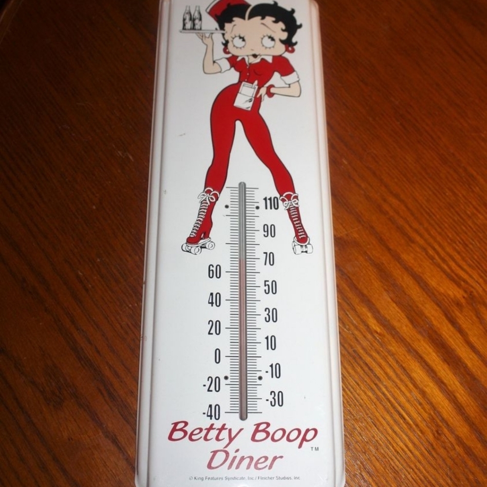 Thermometer - Picture 1 of 1